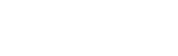 Logo Maxims Tourism